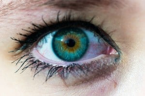 eye exams increase eye health